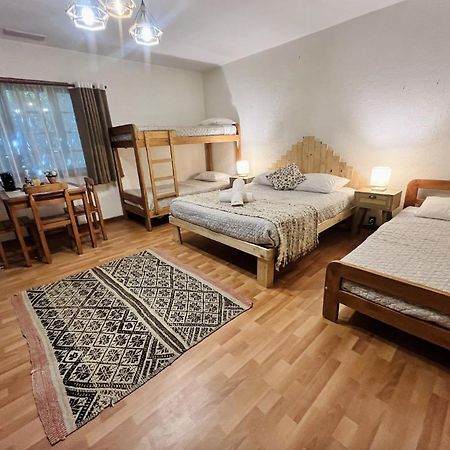 Pucón Alma Nativa Hostel المظهر الخارجي الصورة