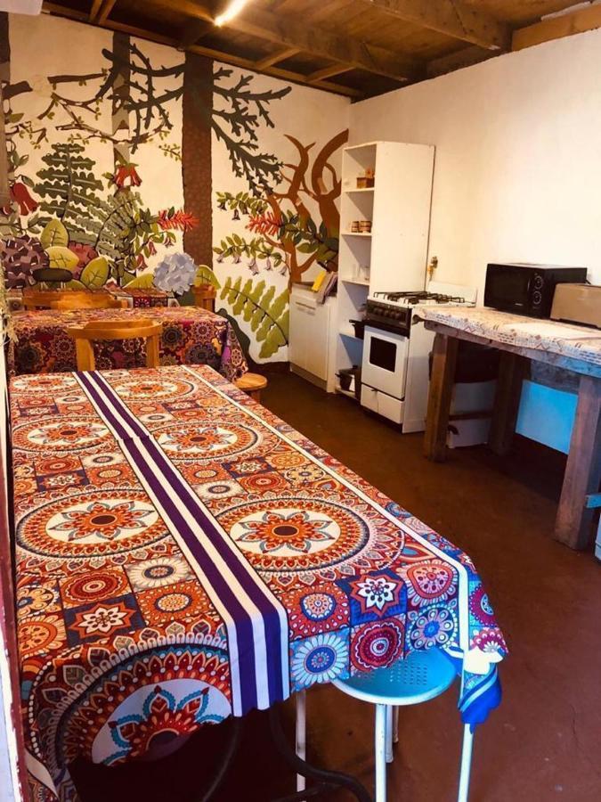 Pucón Alma Nativa Hostel المظهر الخارجي الصورة