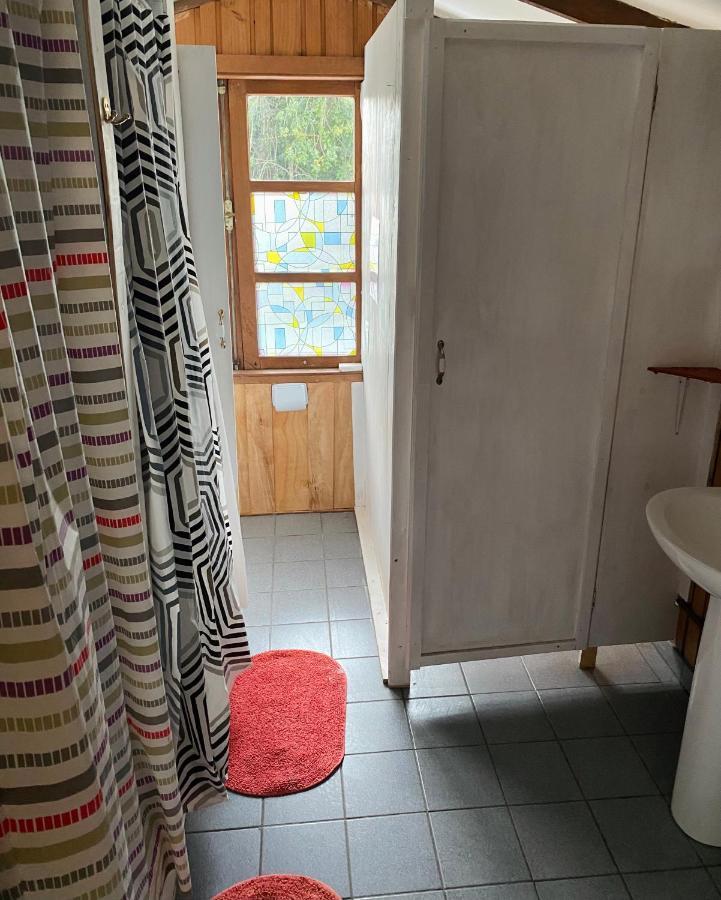 Pucón Alma Nativa Hostel المظهر الخارجي الصورة