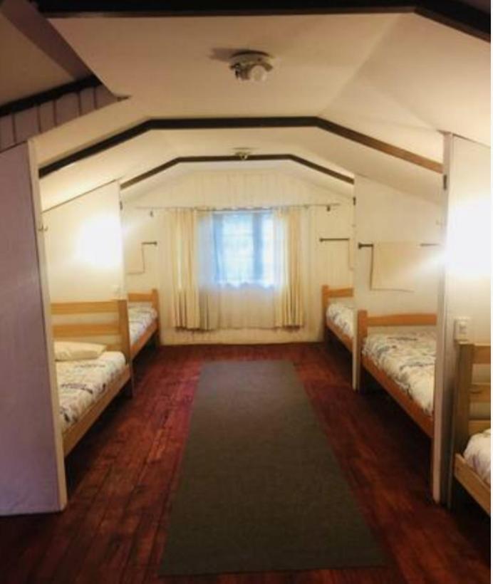 Pucón Alma Nativa Hostel المظهر الخارجي الصورة