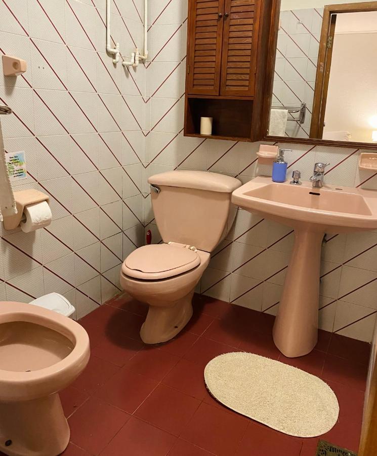 Pucón Alma Nativa Hostel المظهر الخارجي الصورة