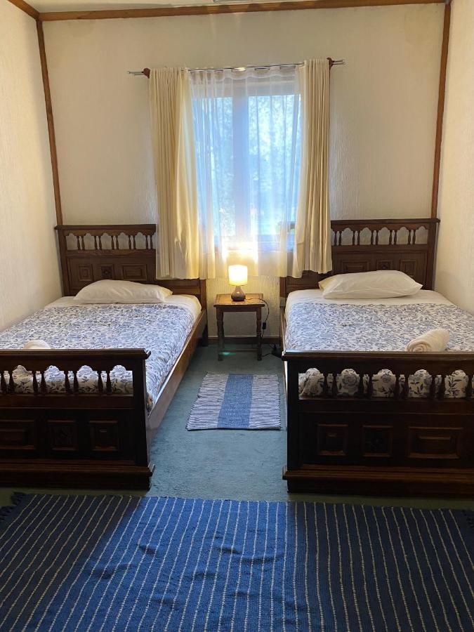 Pucón Alma Nativa Hostel المظهر الخارجي الصورة