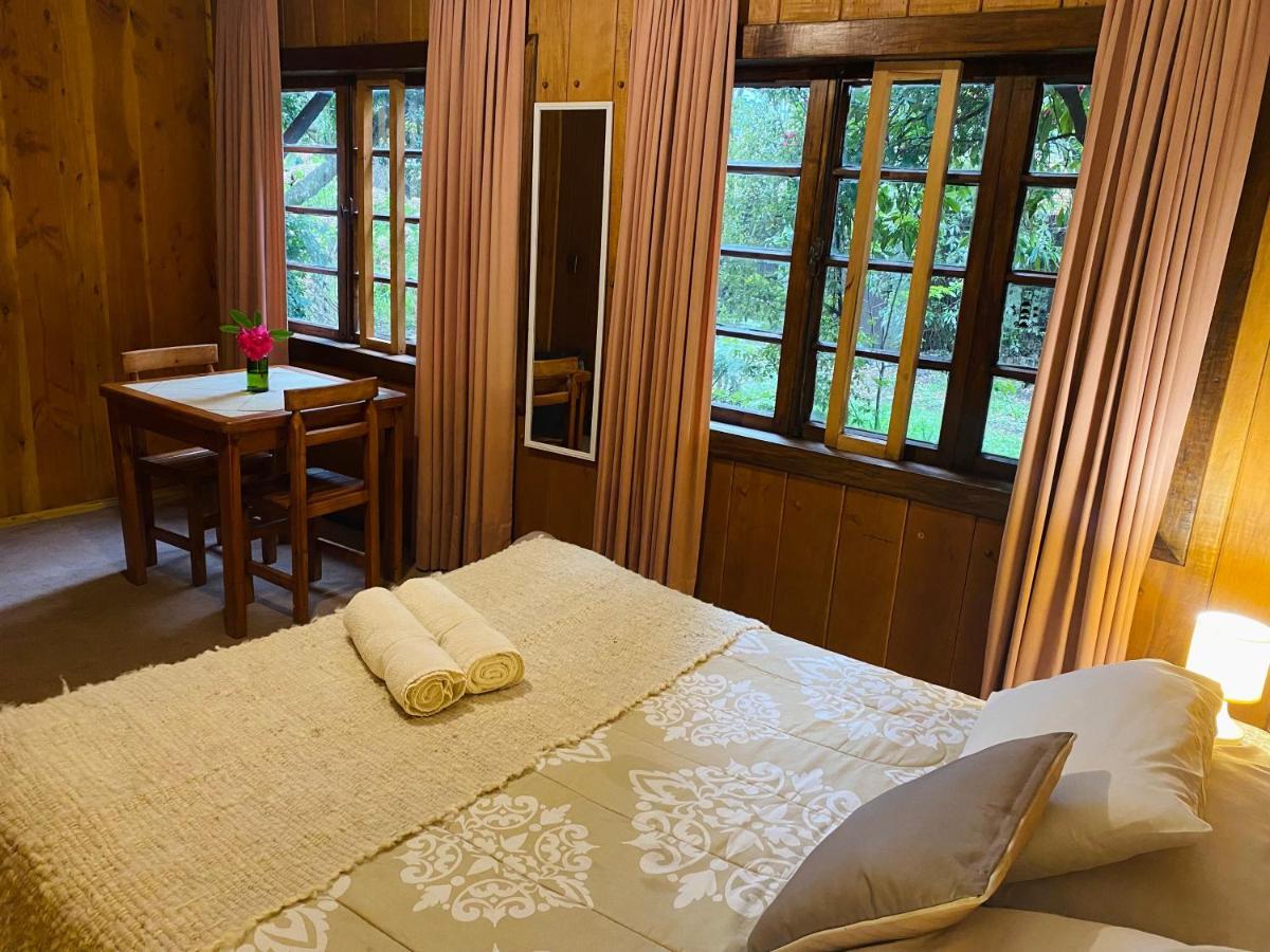 Pucón Alma Nativa Hostel المظهر الخارجي الصورة