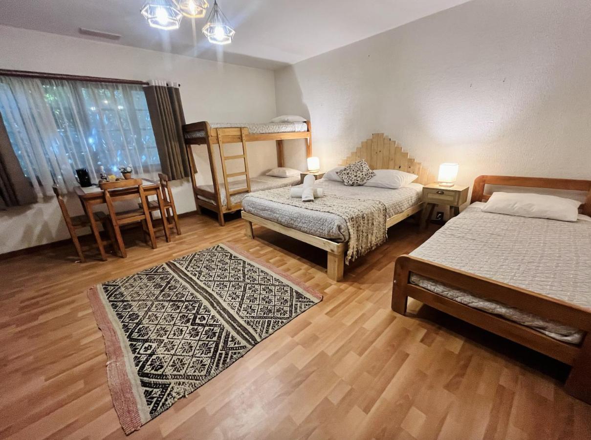 Pucón Alma Nativa Hostel المظهر الخارجي الصورة