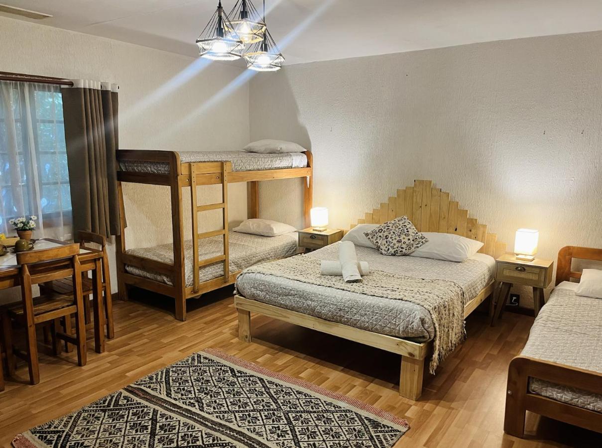 Pucón Alma Nativa Hostel المظهر الخارجي الصورة